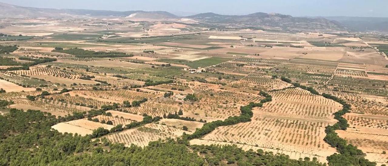 La zona donde se proyectaban las plantas solares &quot;La Encina I&quot; y &quot;La Encina II&quot; que han sido desautorizadas por el Gobierno.