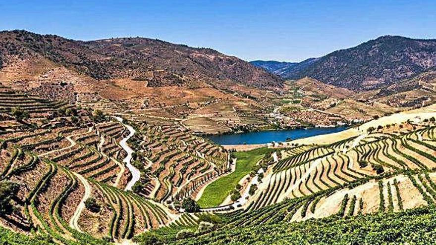 Los paisajes del vino Patrimonio de la Unesco