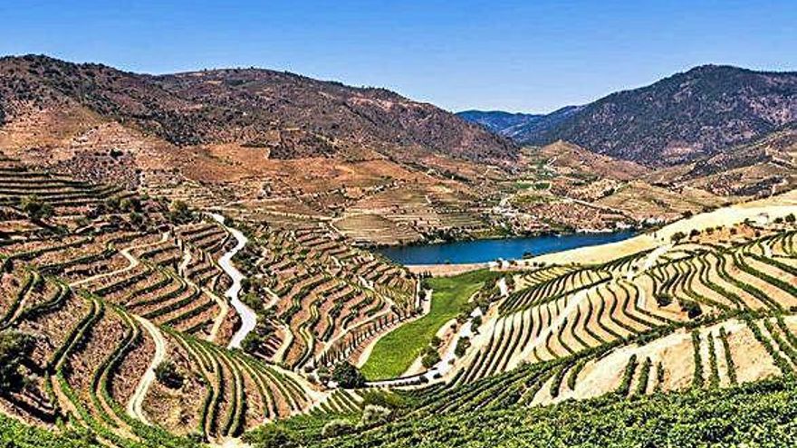 Los paisajes del vino Patrimonio de la Unesco