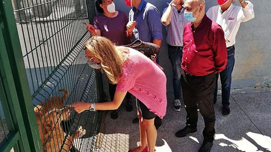 Paloma Castro acaricia a un perro del refugio Os Palleiros.