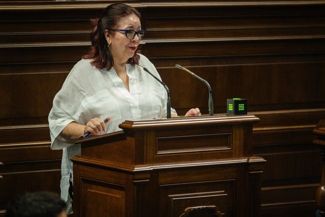 Segunda sesión plenaria del Parlamento de Canarias, 13/09/2022