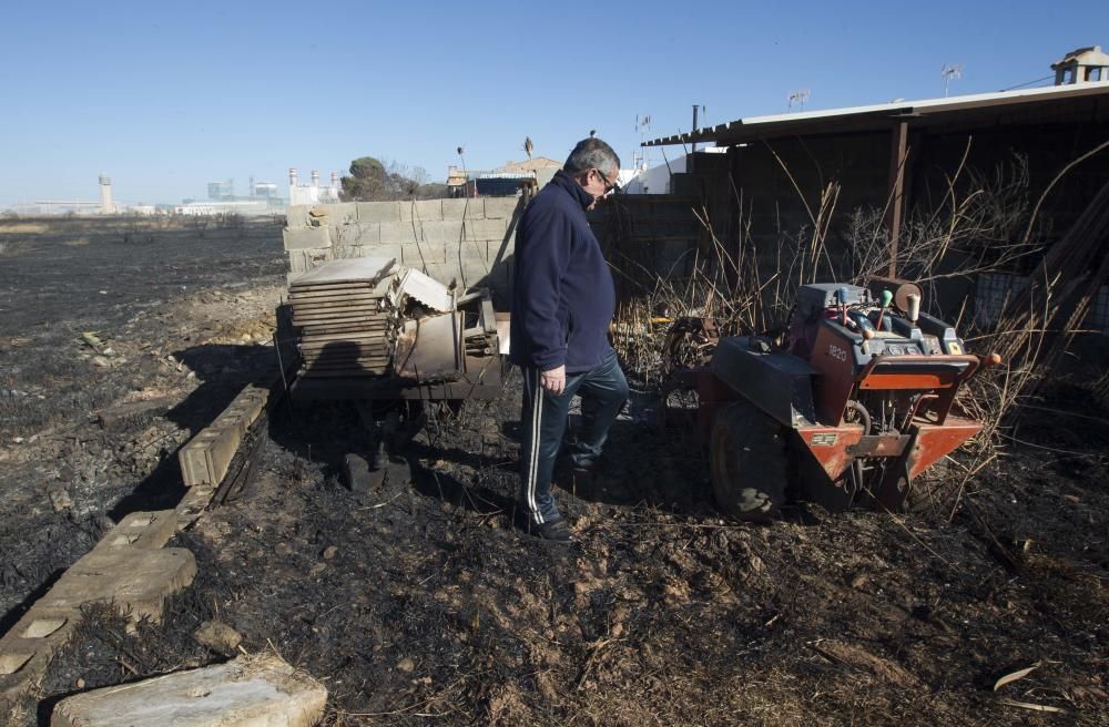 La Marjal dels Moros tras el incendio