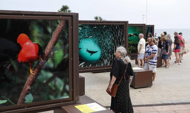 Gijón estrena en el Náutico una exposición con paraísos naturales de todo el mundo (en imágenes)