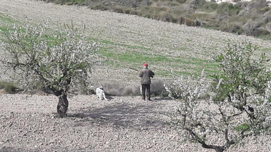 Un estudio confirma el declive de la caza en Aragón: aficionados envejecidos y sin relevo