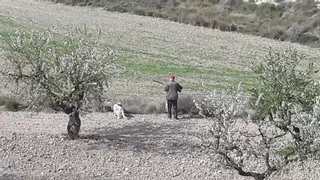 Un estudio confirma el declive de la caza en Aragón: aficionados envejecidos y sin relevo
