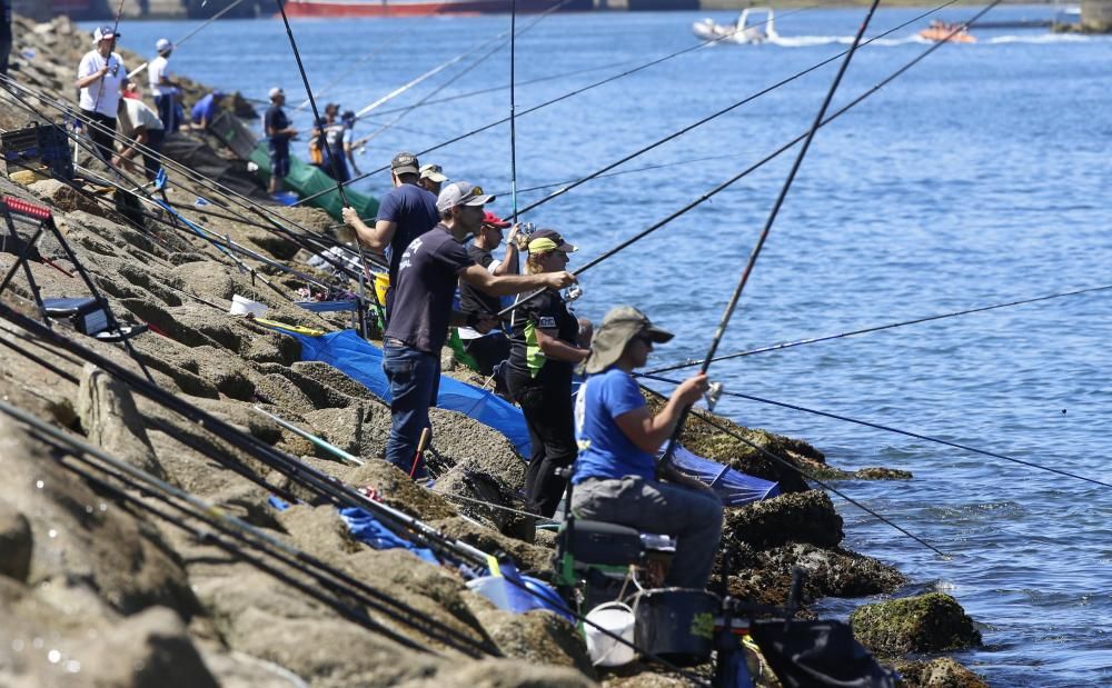 Los pescadores de caña baten récords de capturas en Vigo