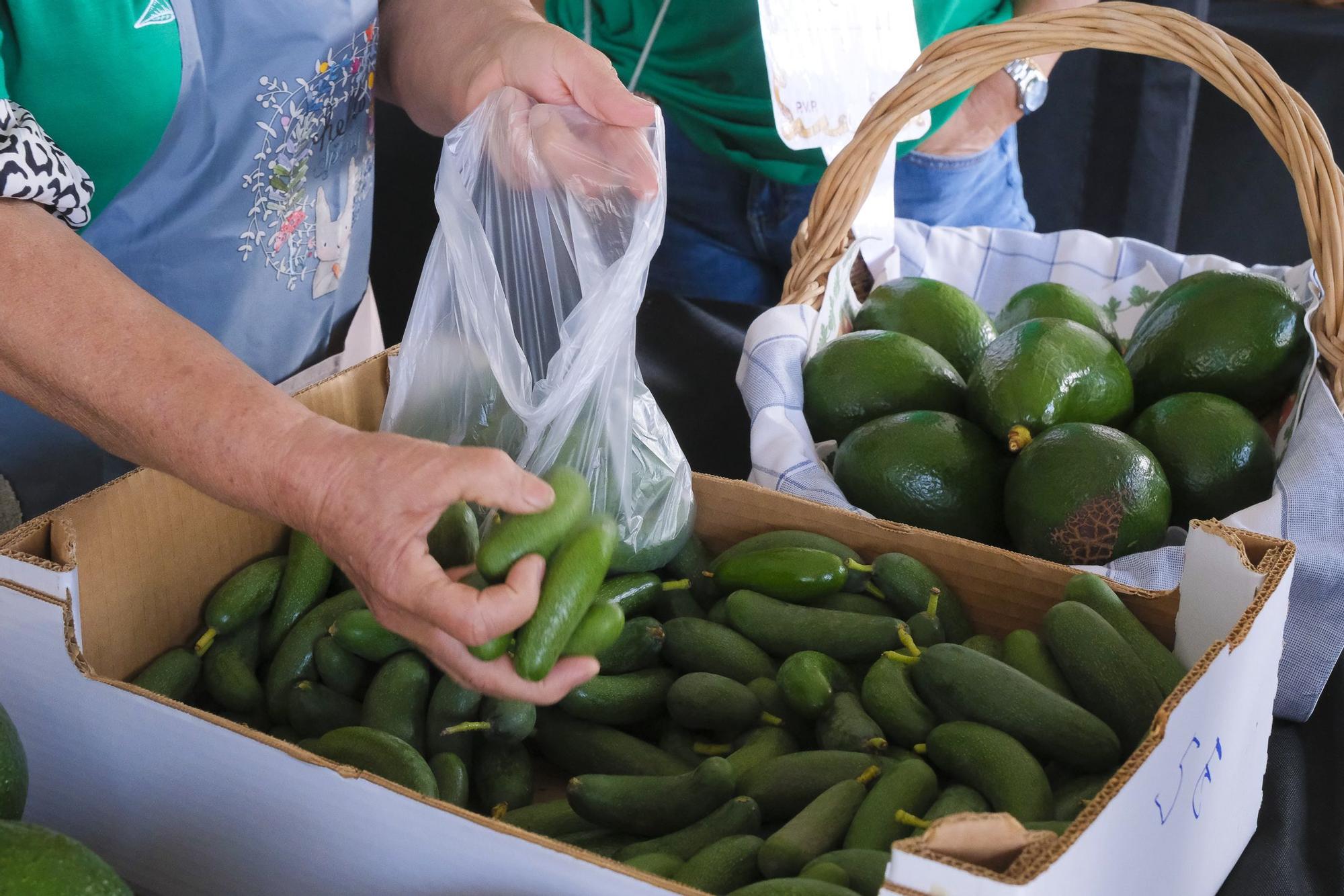 04-11-2024 MOGÁN. IX Feria del Aguacate de Mogán, en Arguineguín  | 01/12/2024 | Fotógrafo: Andrés Cruz