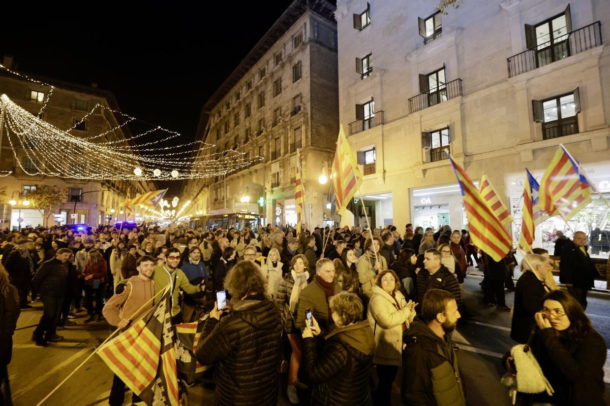 Así ha sido la manifestación reivindicativa por la Diada del 31D.