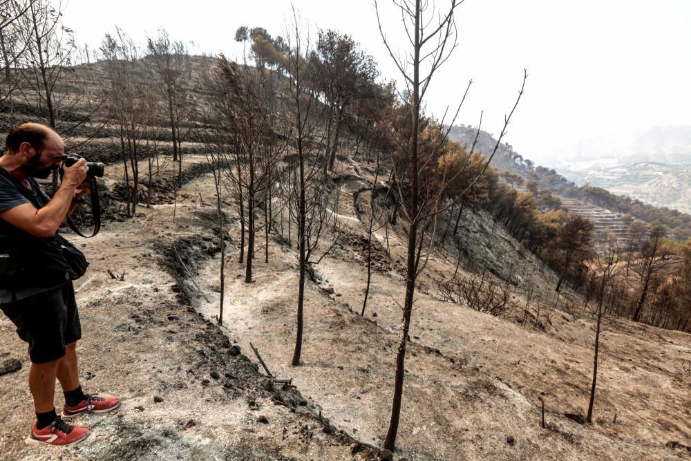 La superficie afectada abarca suelo de Bolulla, Tárbena, Callosa d´en Sarrià y Xaló