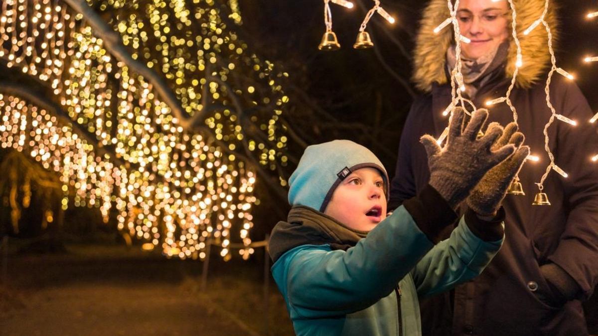 Las Luces del Real Jardín Botánico: magia navideña en estado puro