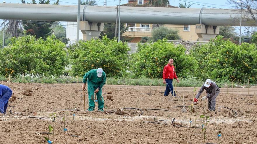 El Gobierno no cede y afirma que recurrir a más trasvases ya no se sostiene en España