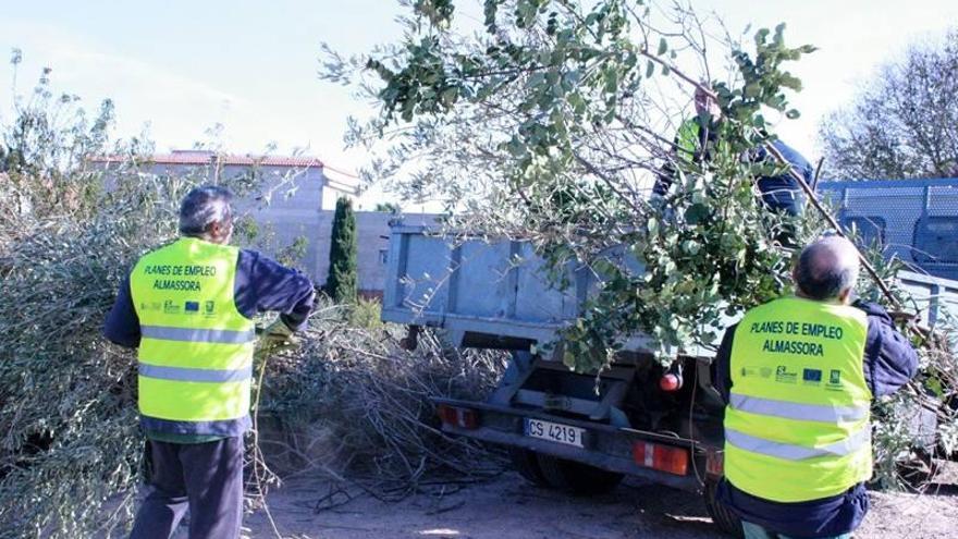 Almassora empleará a 48 peones agrícolas durante el mes de julio