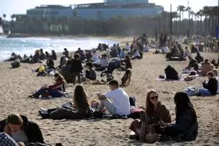 ¿No sabes qué llevarte para comer a la playa? Mira estas recetas y no te calientes la cabeza