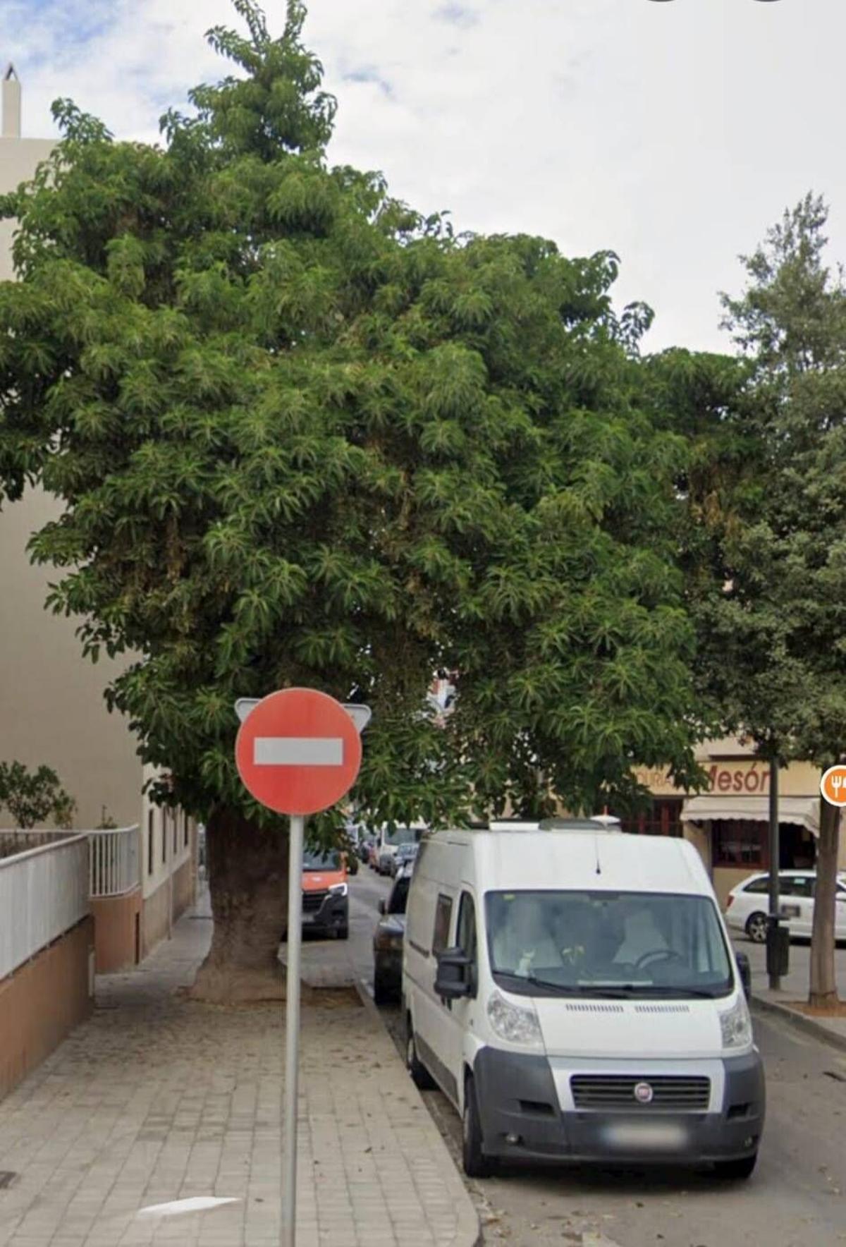 El antes del bellasombra en Ciudad Jardín