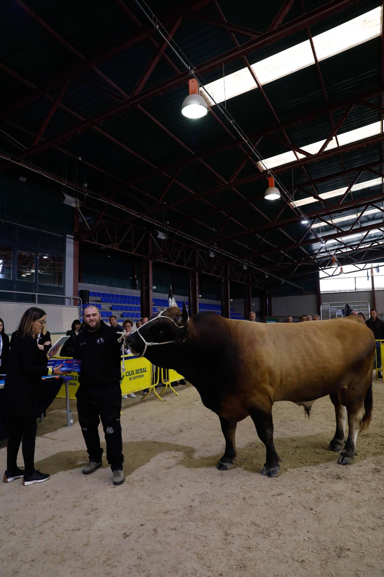 El gran cierre de La Ascensión: así fue la última jornada festiva en la feria del campo en Oviedo