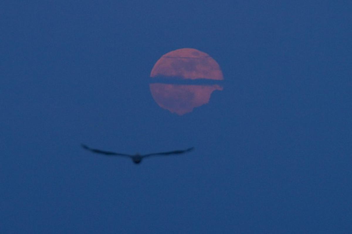 La luna, vista desde el malecón de Santo Domingo (República Dominicana).