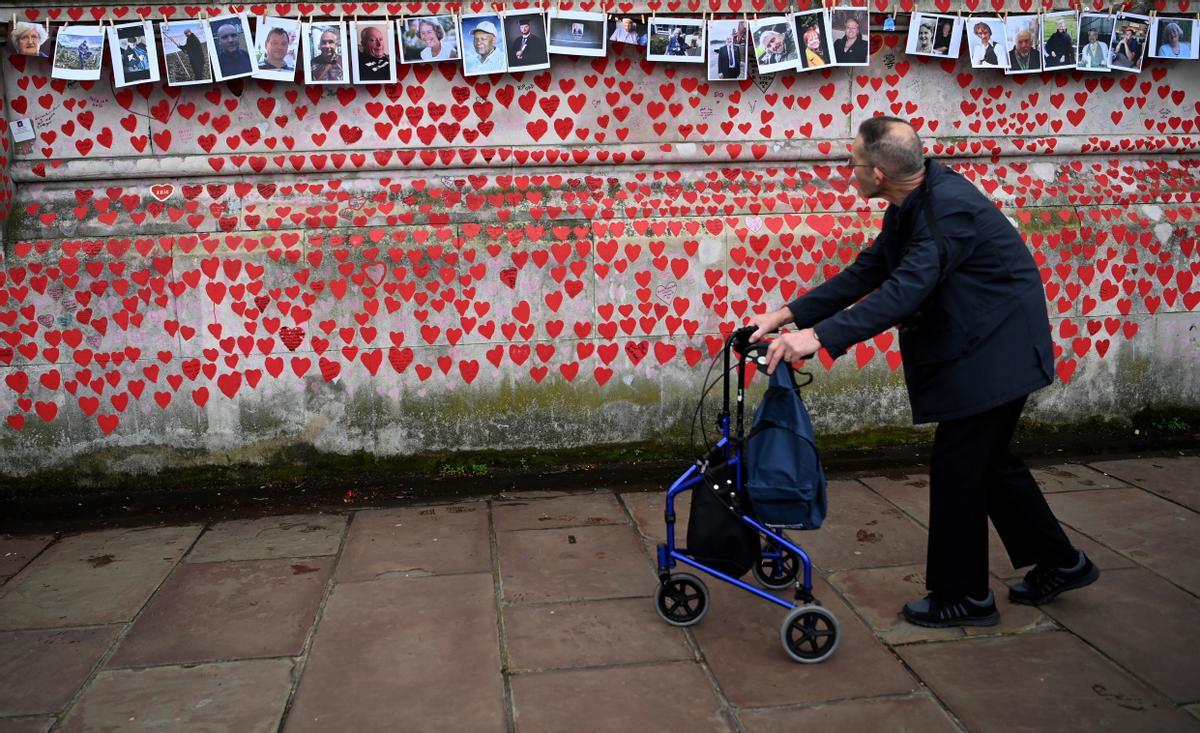 Un anciano mira fotografías de los muertos en el Muro Conmemorativo del Covid en Londres.