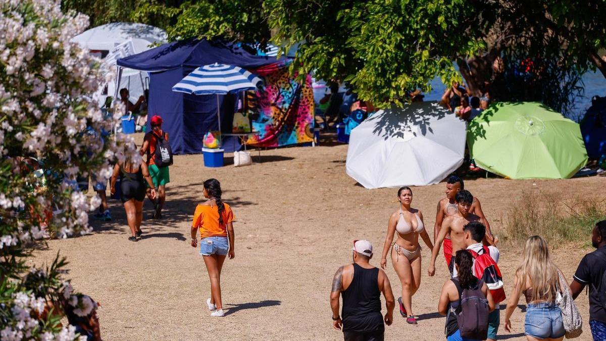Sombrillas y entoldados, en el área recreativa de l'Assut de Antella, en una imagen de archivo.