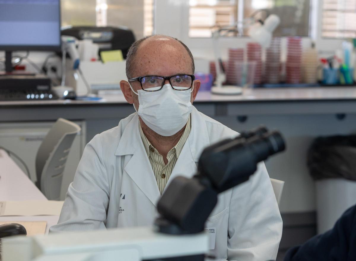 Investigación en virus y bacterias Investigación en virus y bacterias