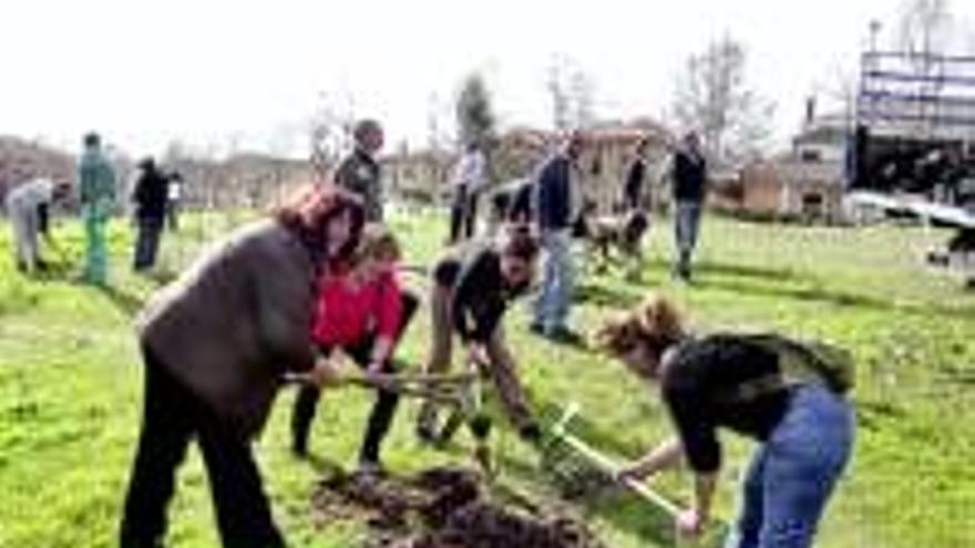 Plantados 60 nuevos árbolesen el Parque del Príncipe
