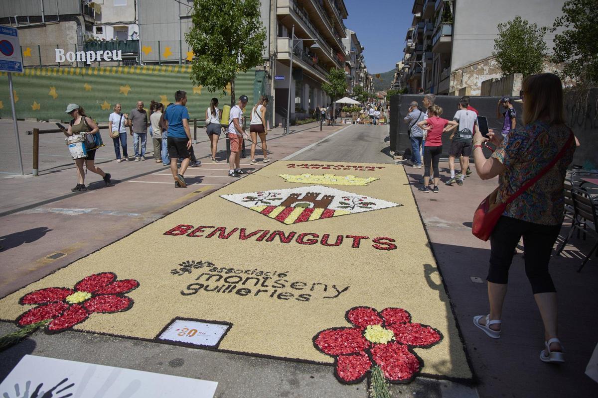 Les catifes d'Arbúcies en imatges