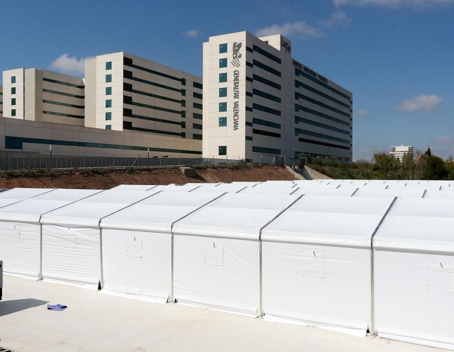 Así avanzan las obras del hospital de campaña