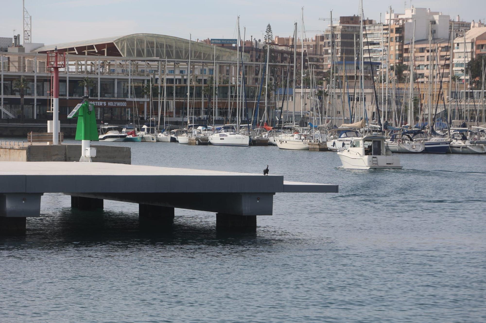 Zona donde ha aparecido el cadáver en el puerto de Alicante