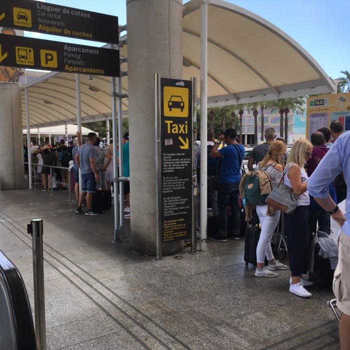 Largas colas para conseguir taxis o autobús en Palma