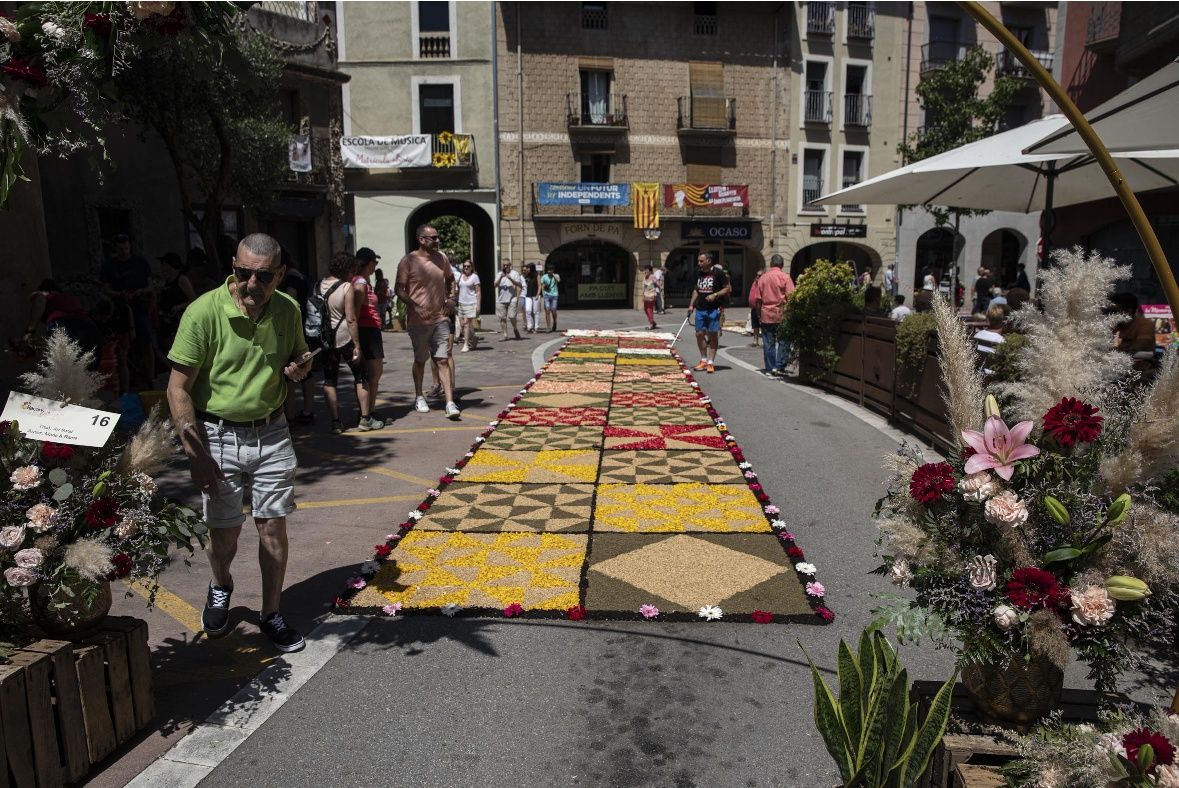 Catifes de flors d'Arbúcies