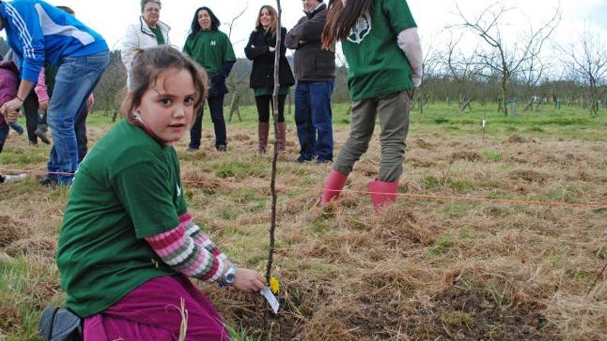 Un grupo de alumnas echa tierra sobre las raíces de uno de los manzanos.