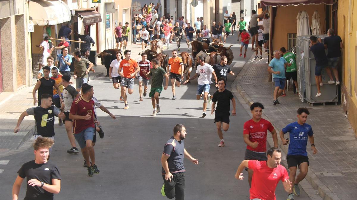 Imagen de un encierro de toros cerriles celebrados en las fiestas de municipios de Castellón.