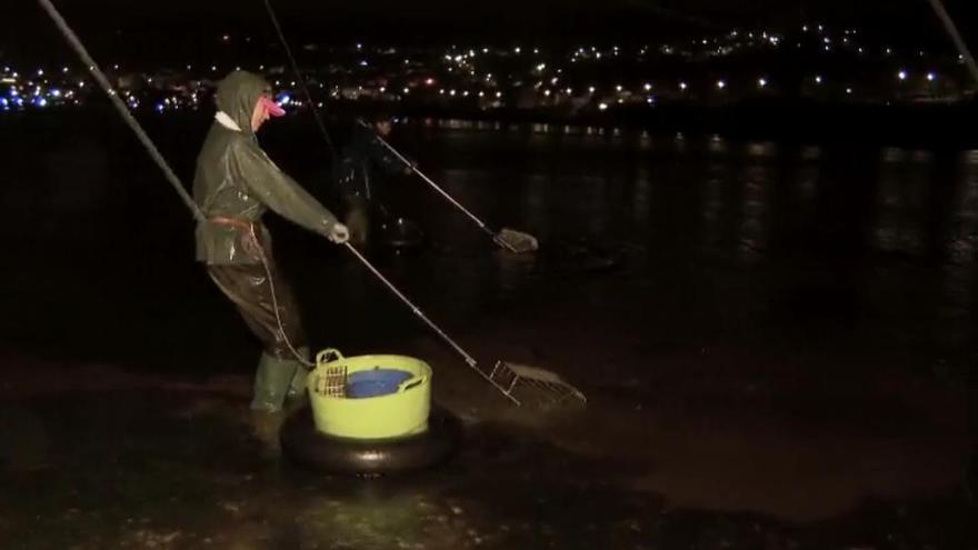 La lluvia arruina el marisqueo en las Rías gallegas