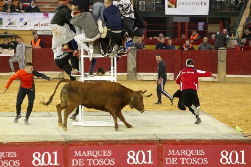 Vaquillas del 9 de octubre