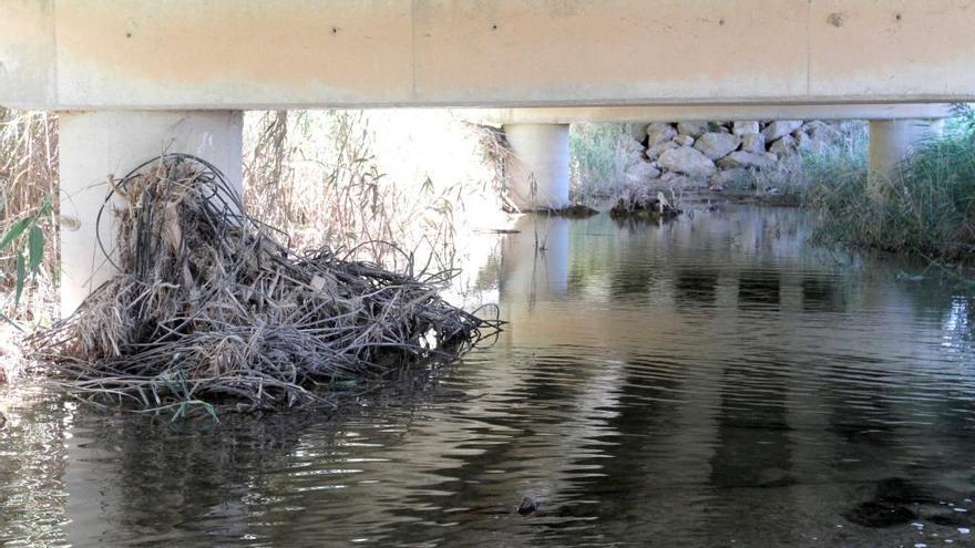 Rambla del Albujón próximo a la desembocadura del Mar Menor