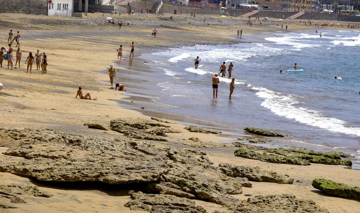 Las capas fósiles de Las Canteras, al descubierto