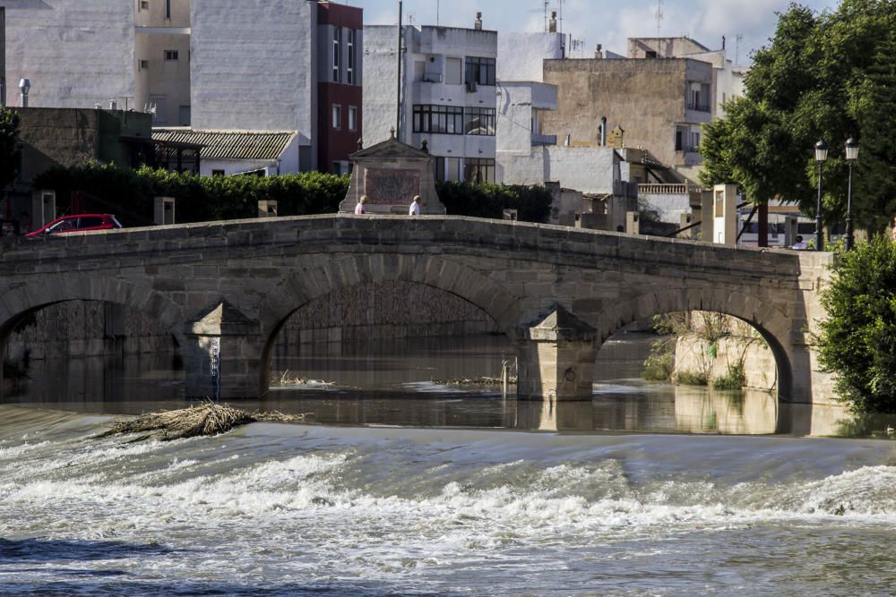 Puente sobre el río Segura en Rojales