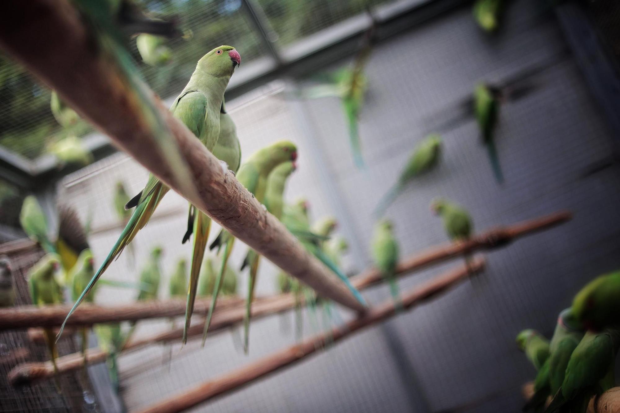 Centro de Fauna Exótica de Santa Cruz