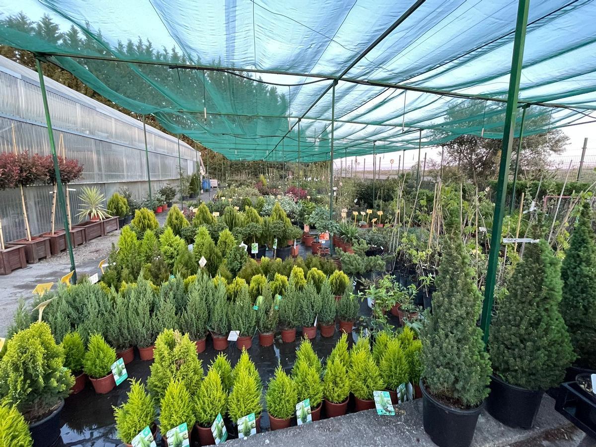 Sección de plantas exteriores