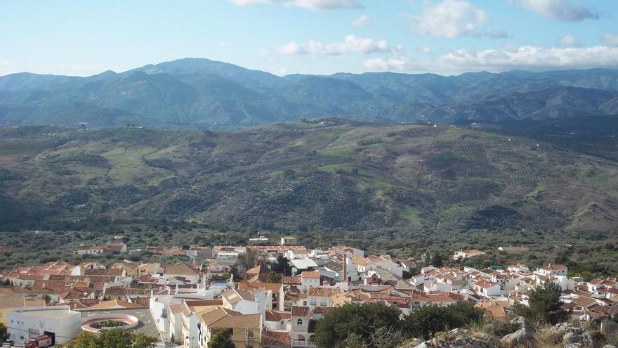 El hachazo se produjo el martes en Periana.