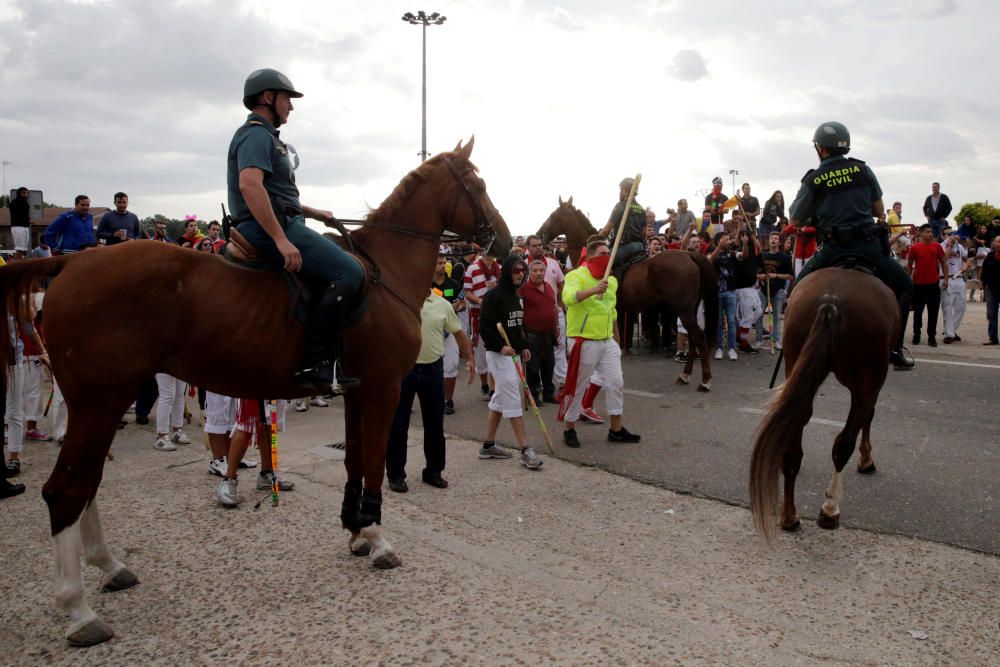 Toro de la Peña en Tordesillas