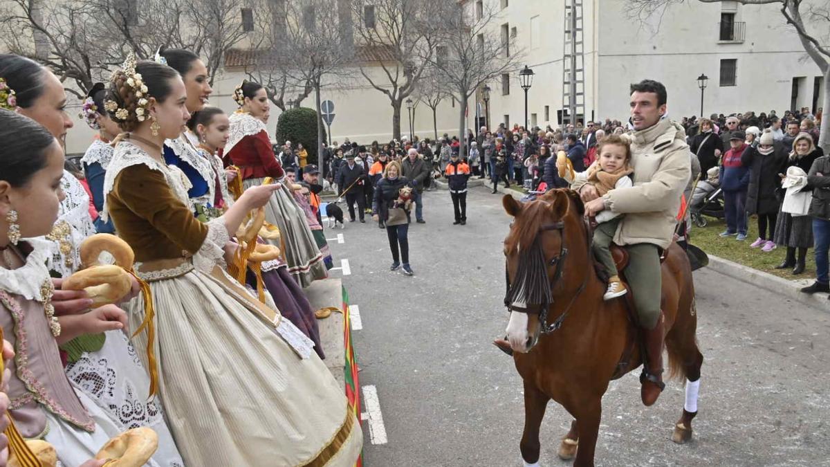 Galería de fotos: Castelló se vuelca con la procesión de Sant Antoni a la Mare de Déu del Lledó