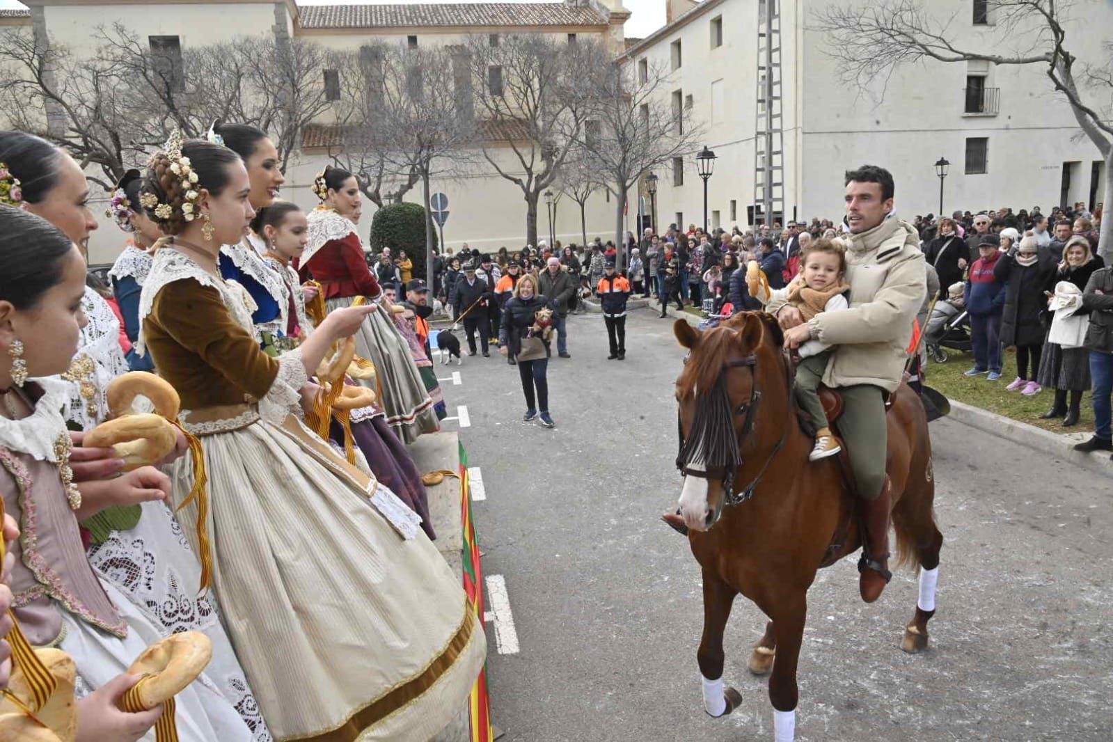 Galería de fotos: Castelló se vuelca con la procesión de Sant Antoni a la Mare de Déu del Lledó