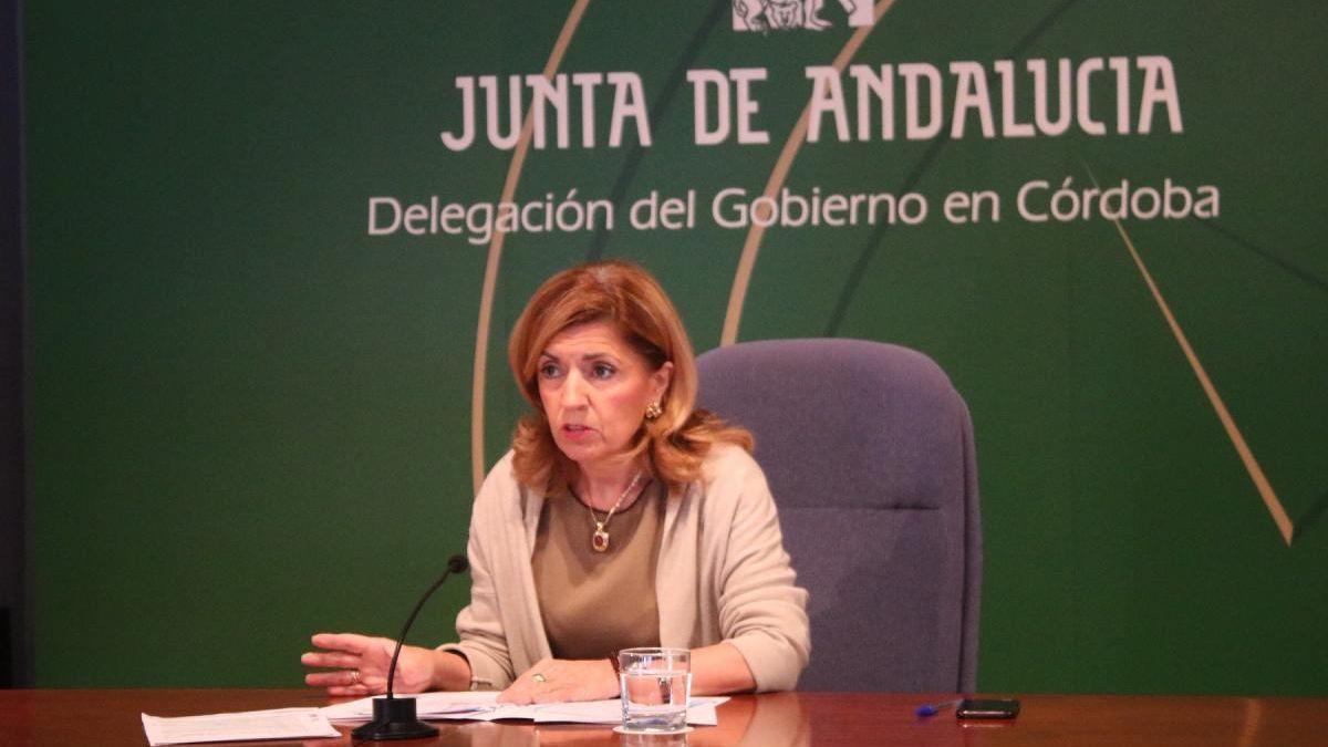 La delegada de Salud y Consumo, María Jesús Botella.