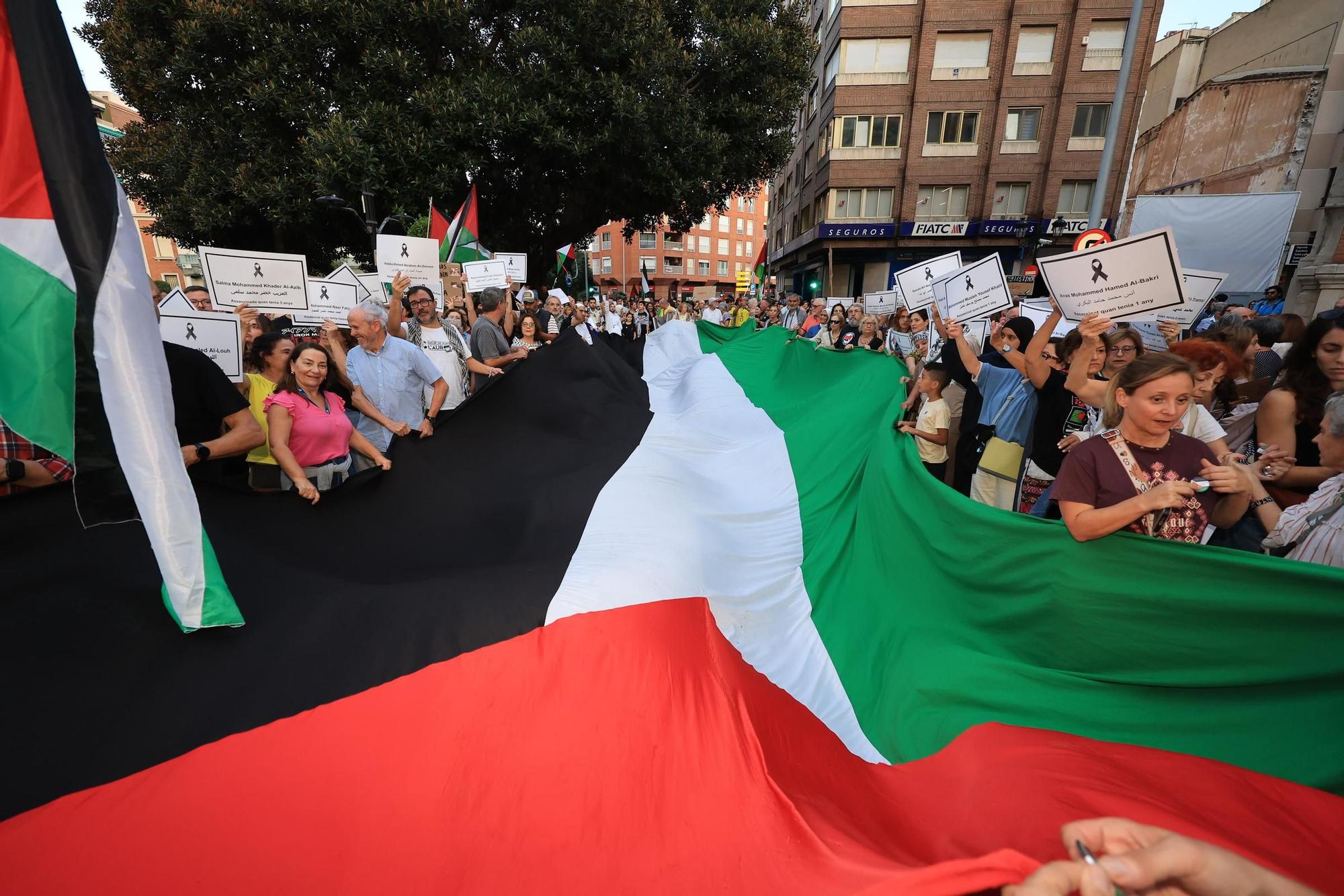 Galería de imágenes: Castellón sale a la calle en defensa de Palestina