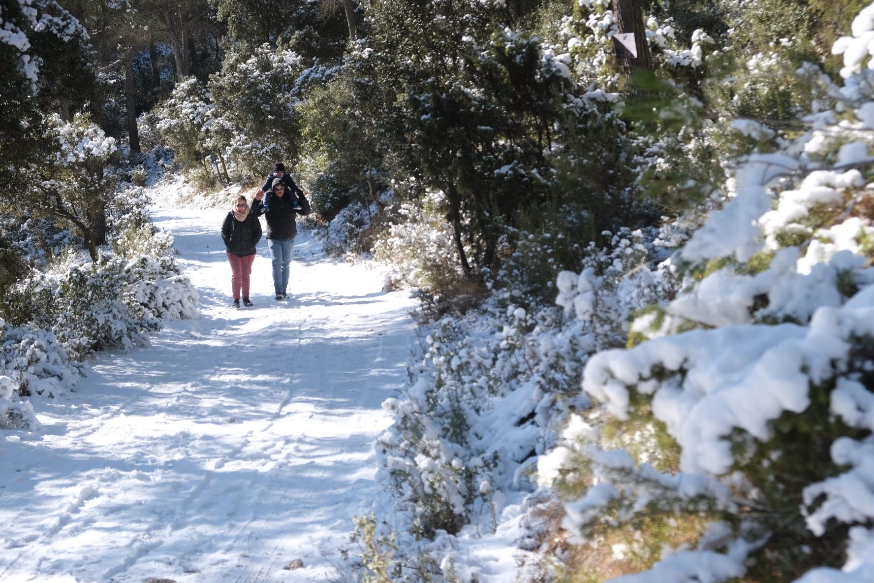 La nieve cubre de blanco el Xorret de Catí