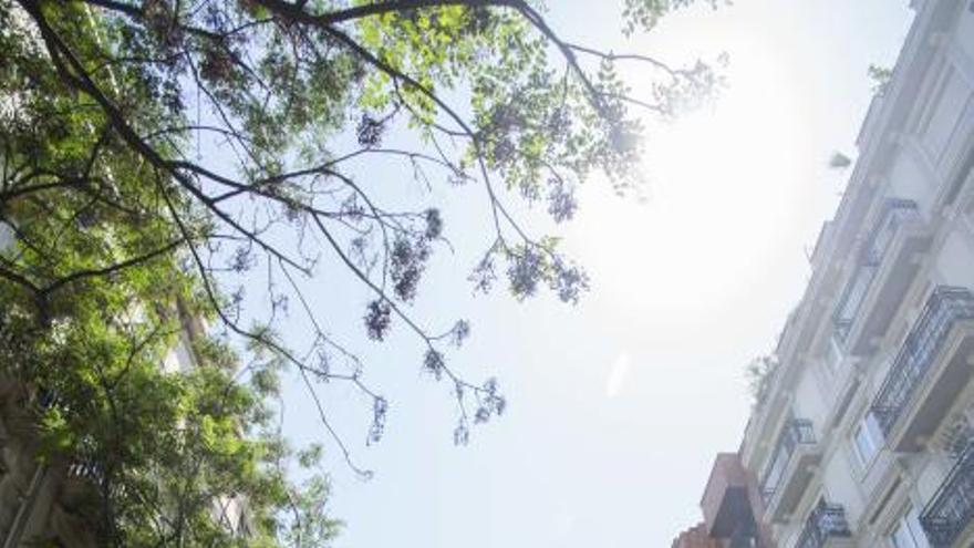 Cae un árbol en la calle Sorní