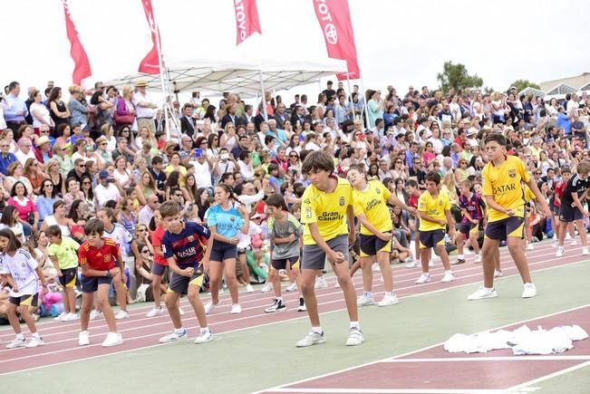 Inauguración de la XLI Olimpiada del Colegio ...