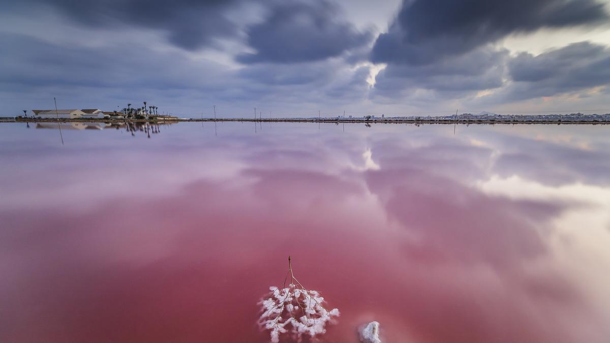 las Salinas de San Pedro del Pinatar