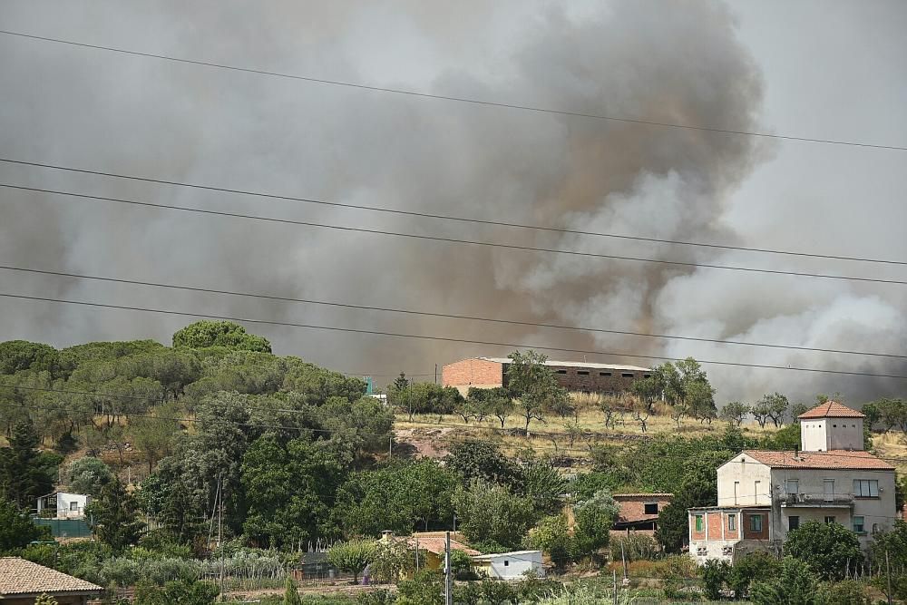 Incendi forestal a Sant Fruitós de Bages