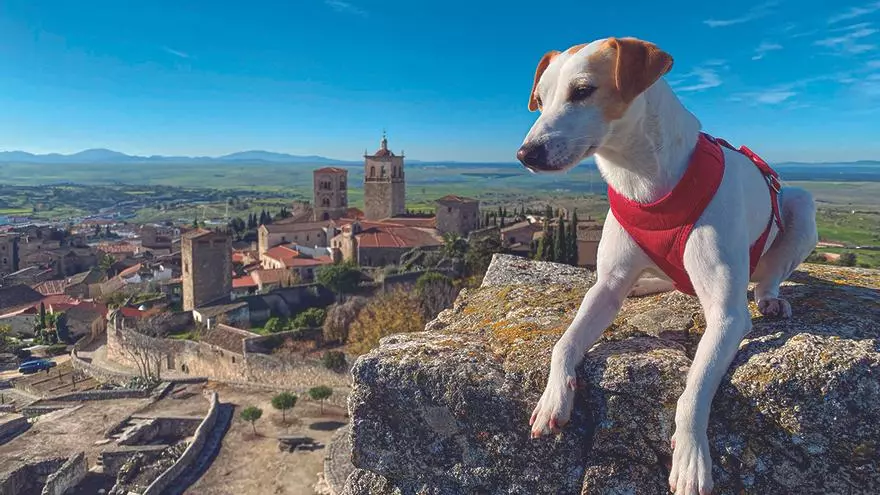 "La oferta es impresionante": Pipper protagoniza la guía que acaba de publicar Extremadura para viajar con mascotas
